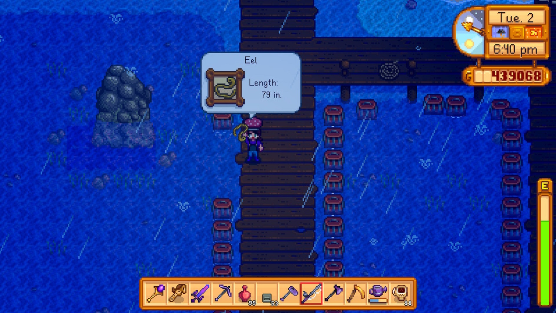Stardew valley where to catch eel