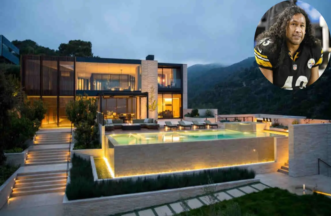 Troy polamalu home