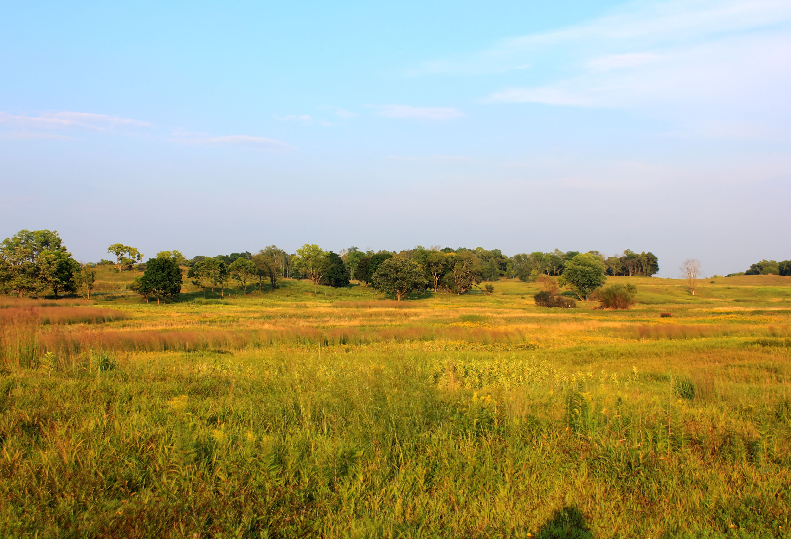 Prairies in illinois