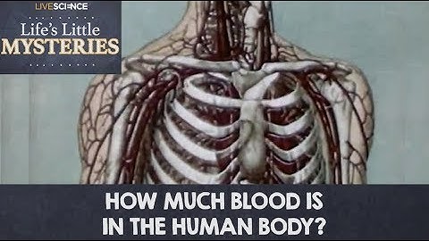 How many liters of blood are in a human body