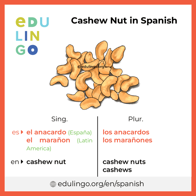Cashews en espanol