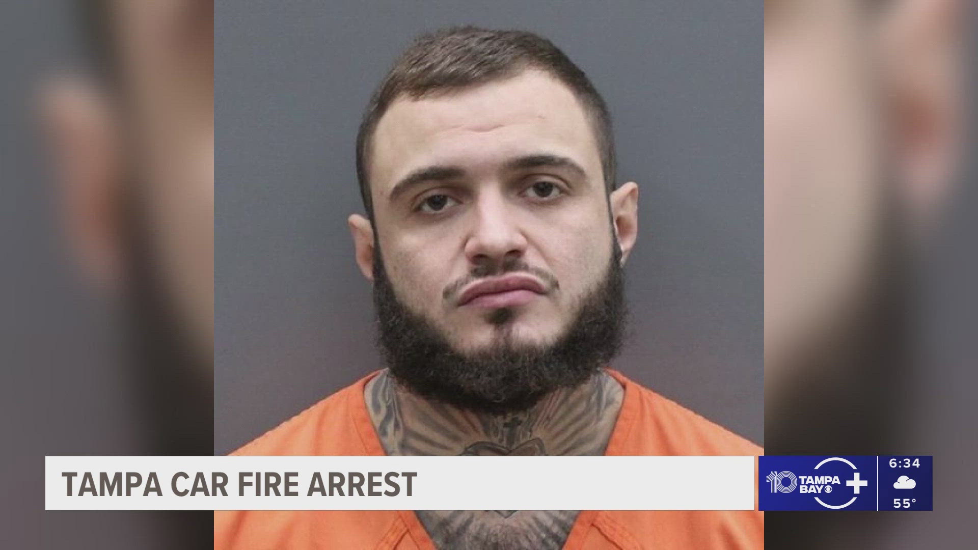 Tampa florida arrests