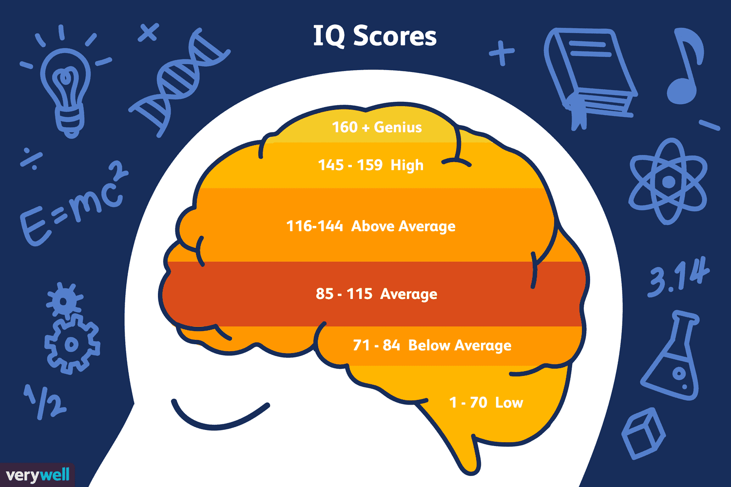 Search iq