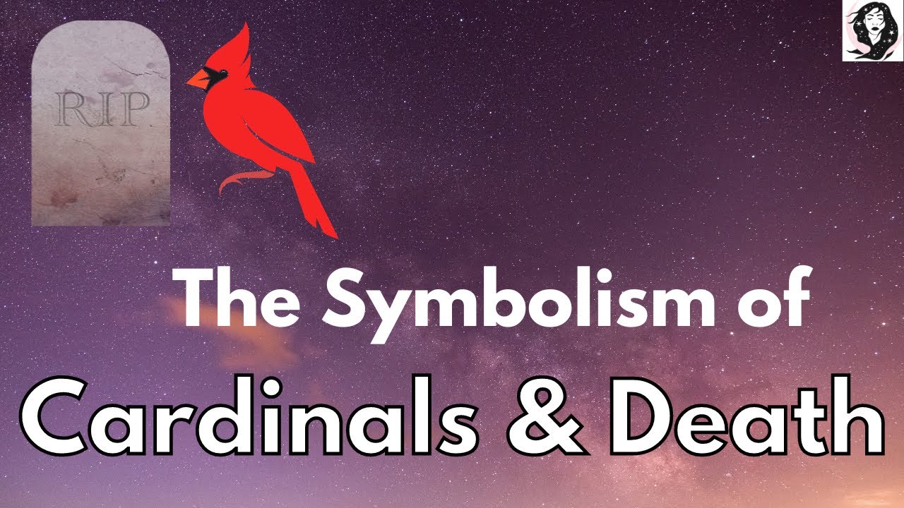 Cardinal and death