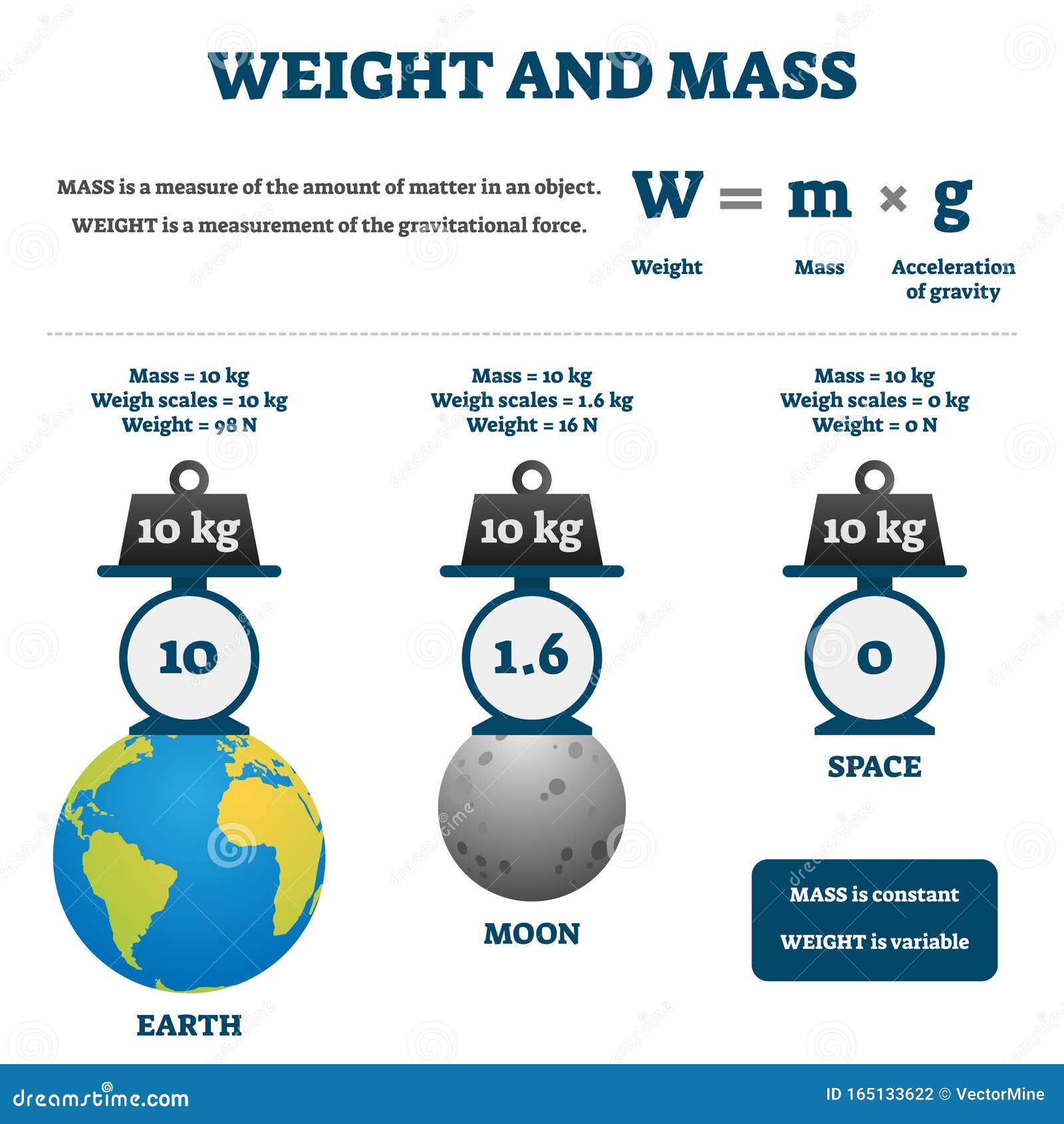What is mass and gravity