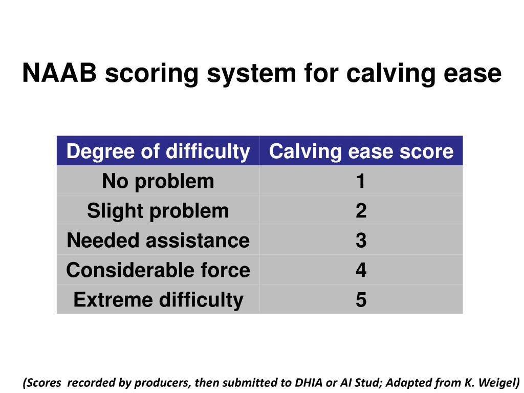 Naab scores