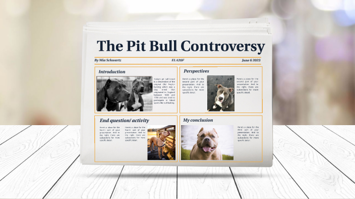 Pitbull controversy