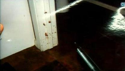 Murder scene photos of travis alexander