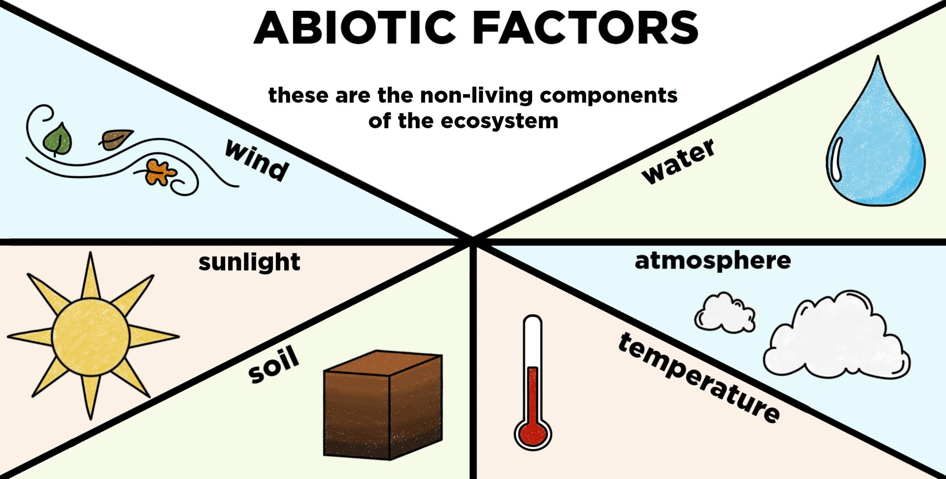 What are abiotic conditions