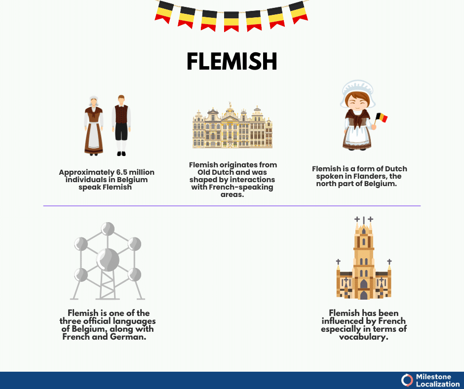 What is flemish