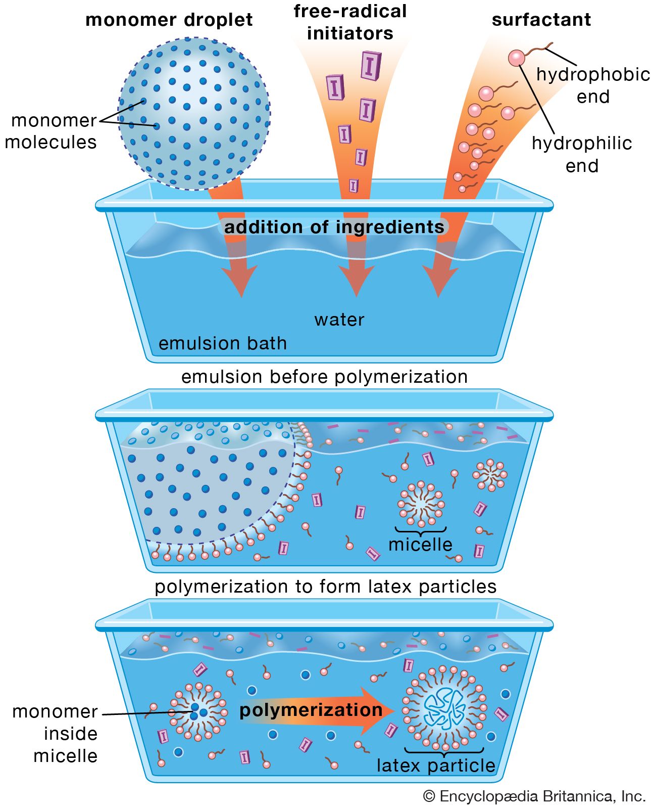 Polyermization