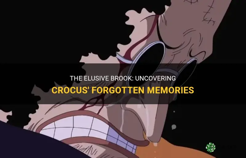 How old was crocus when he met brook