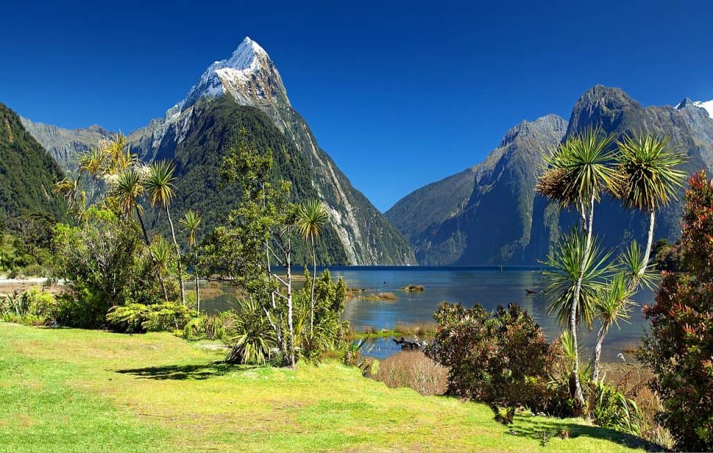 South island new
