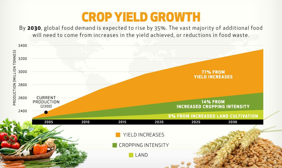 Food yield