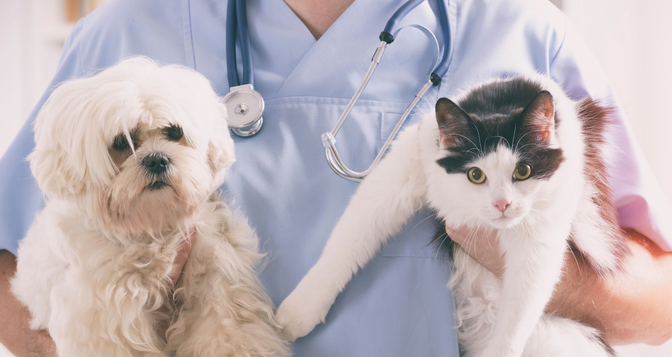 Pets and Animal Care