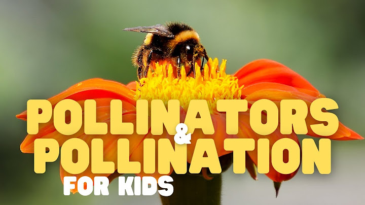Are beneficial nematodes safe for pets kids pollinators