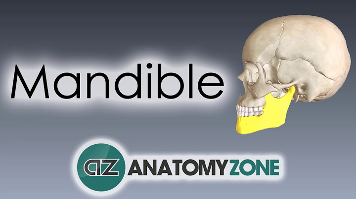 Mandible head