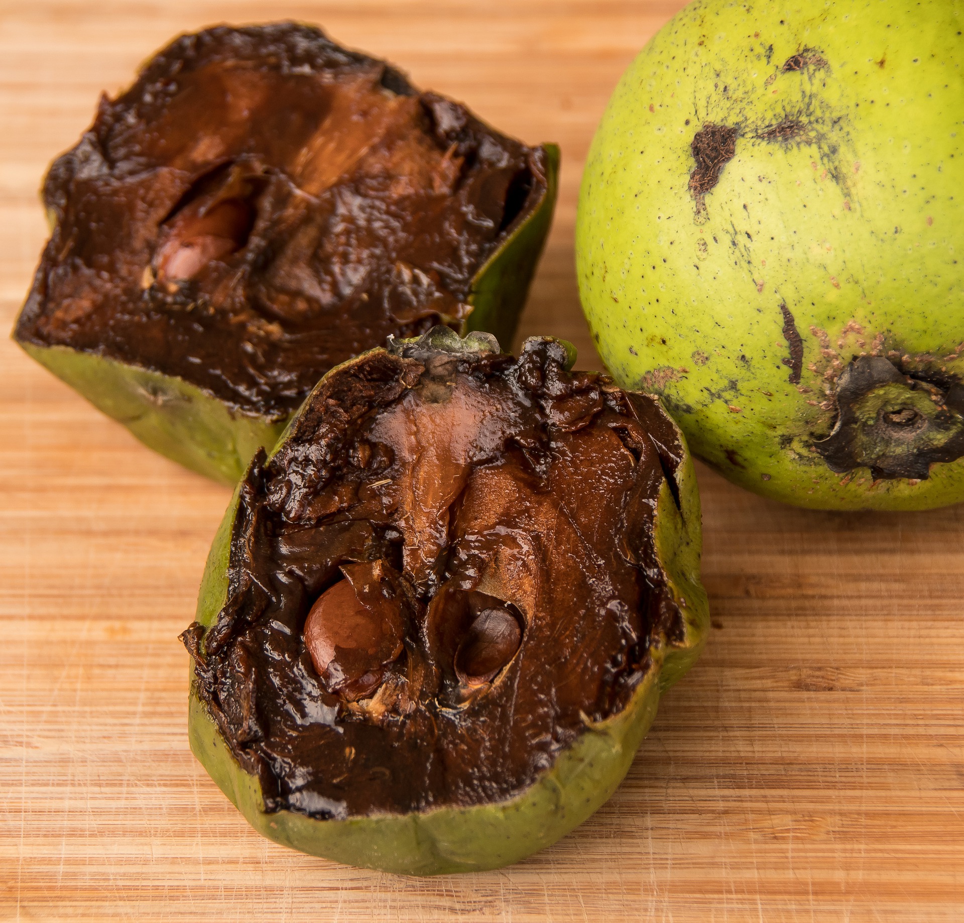 Fruit tastes like chocolate pudding