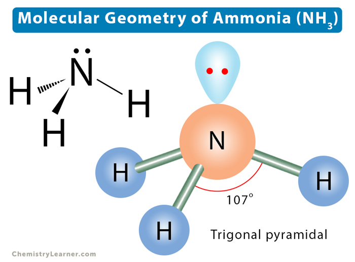 Molecular geometry for nh3