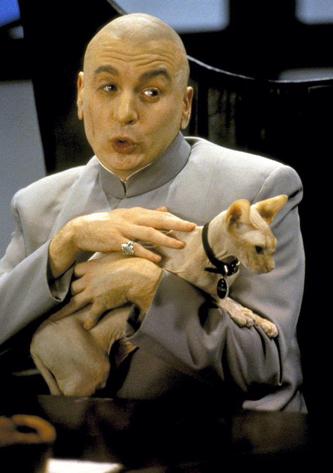 Dr evil cats