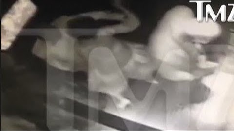 Solange elevator incident