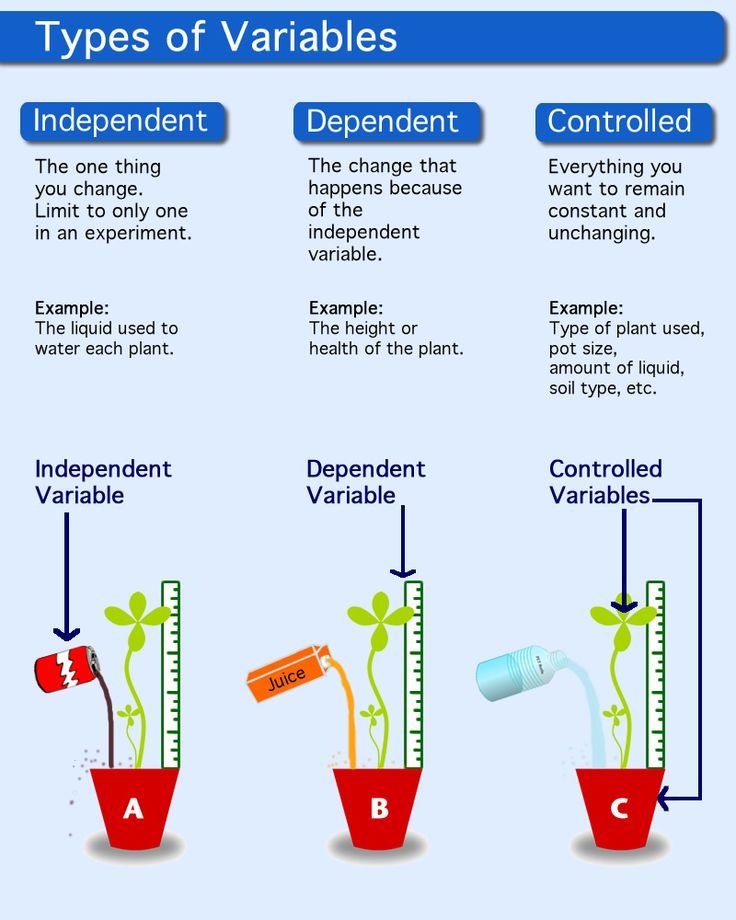 Scientific method independent variable