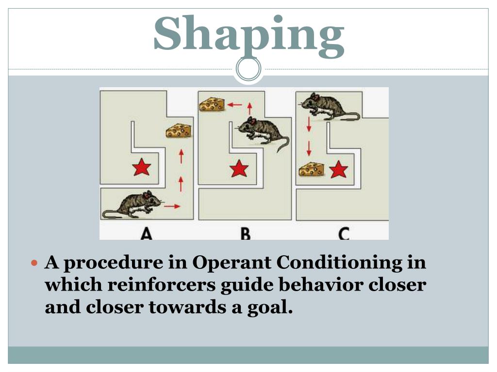 Shaping behavior with operant conditioning
