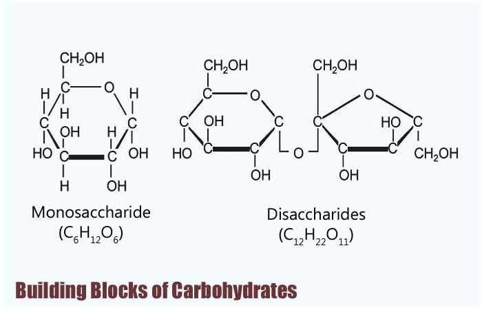 Building block carbohydrates