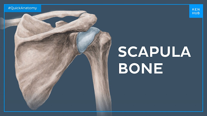 Acromion on scapula