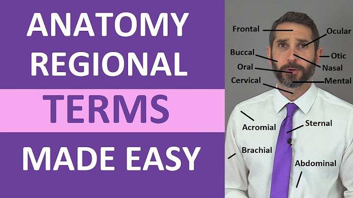 Anatomy and Medical Terminology