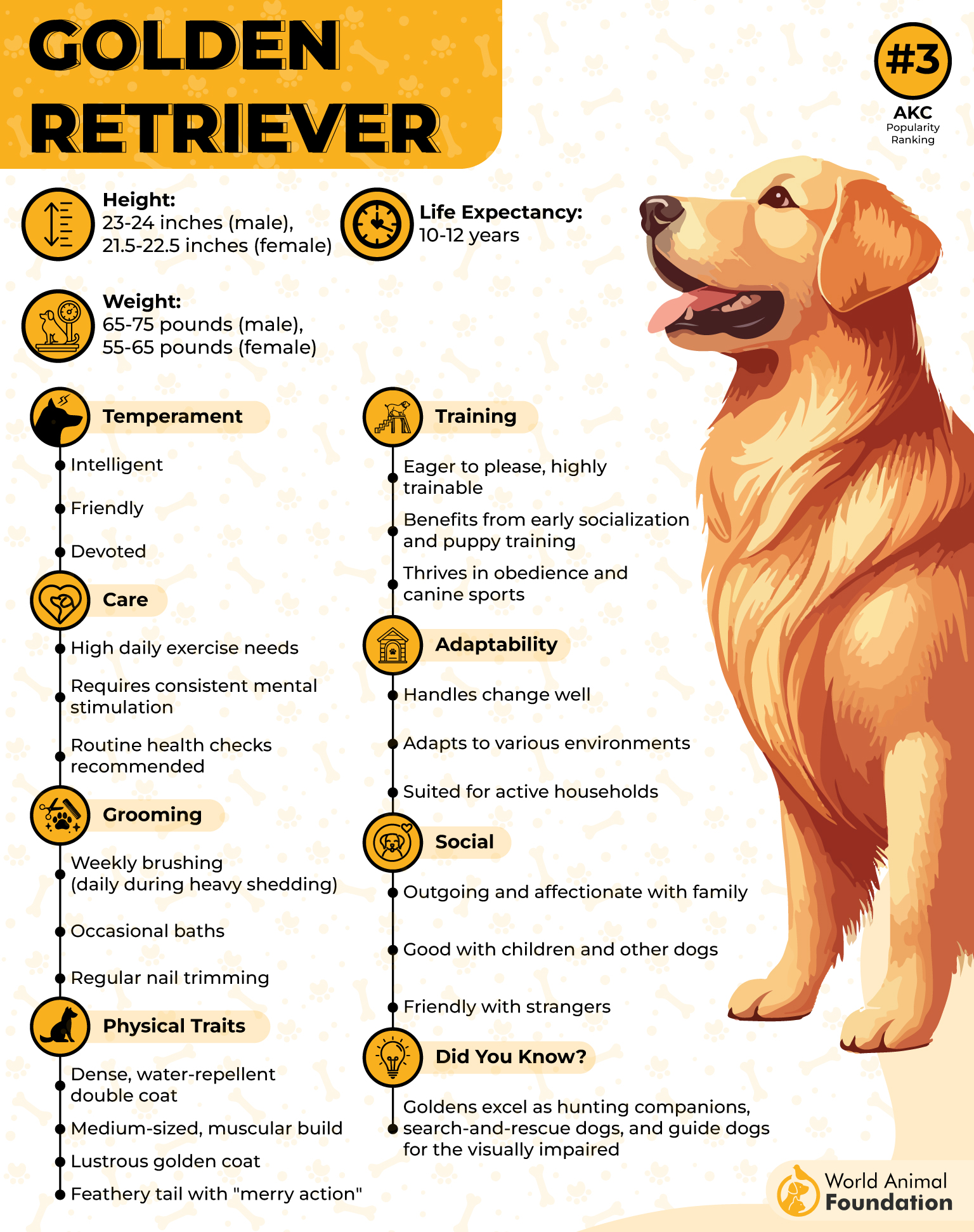 Tell me more about golden retrievers personalities