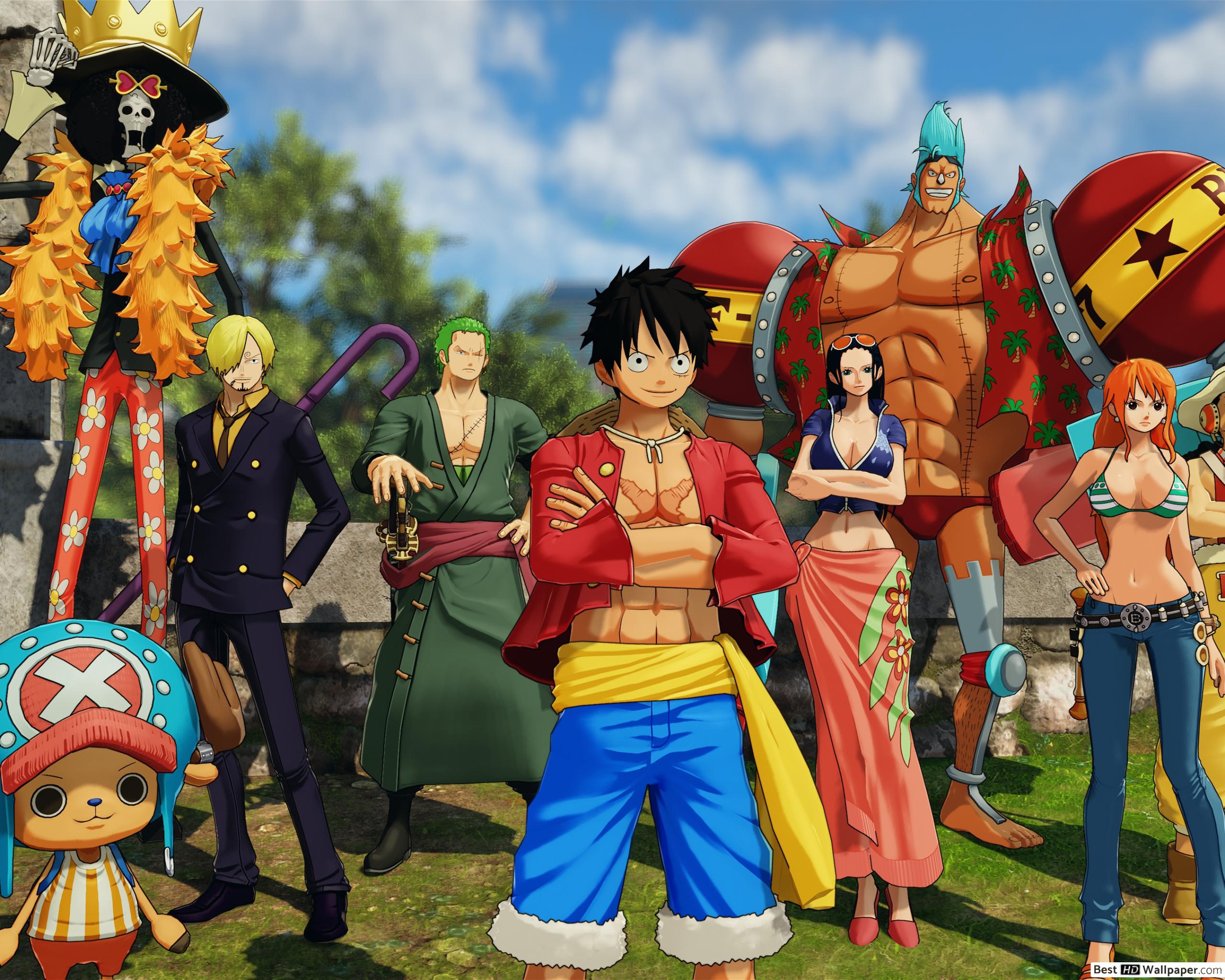 Who is luffy crew