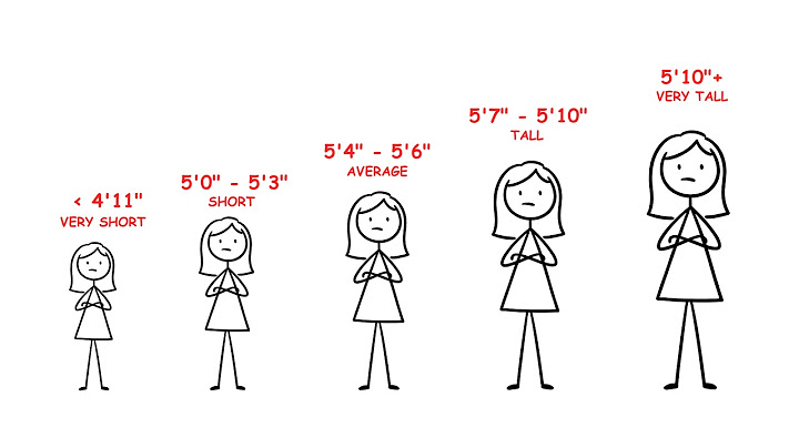What is the height of an average woman