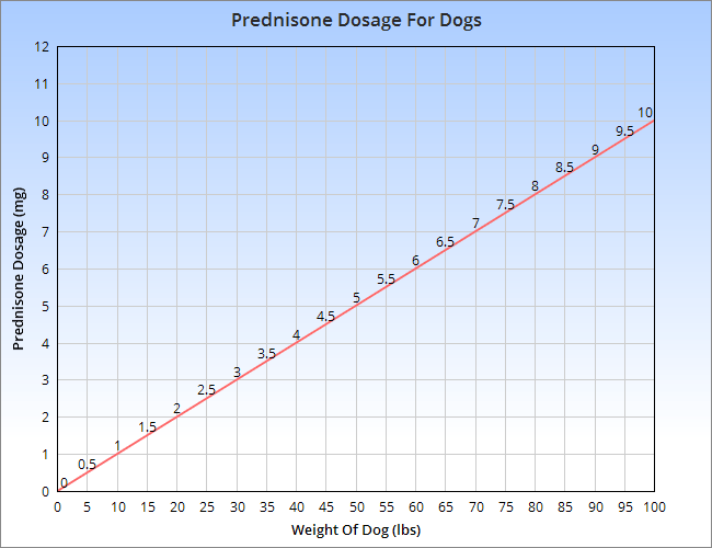 Prednisone dosing for dogs