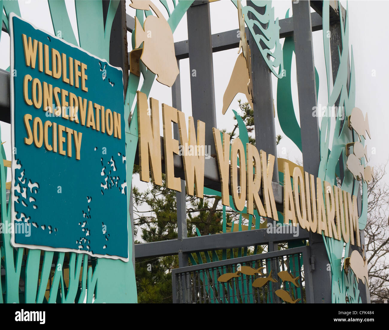 Wildlife conservation society nyc