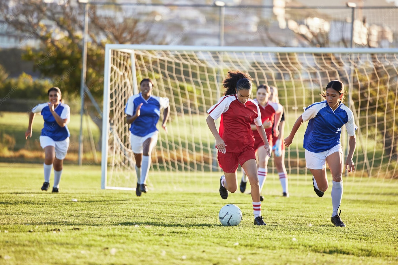 Soccer Teams, Players and Competitions