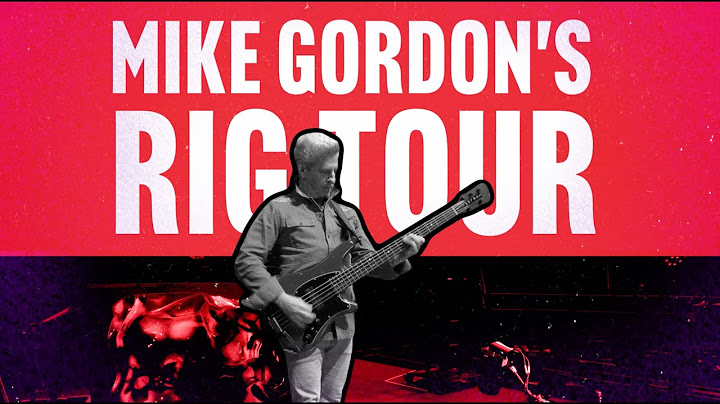 Phish bass player