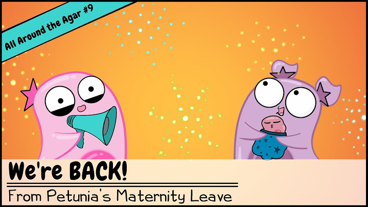 Amoeba sisters in real life