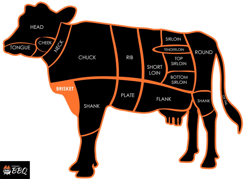 Is brisket cow or pig