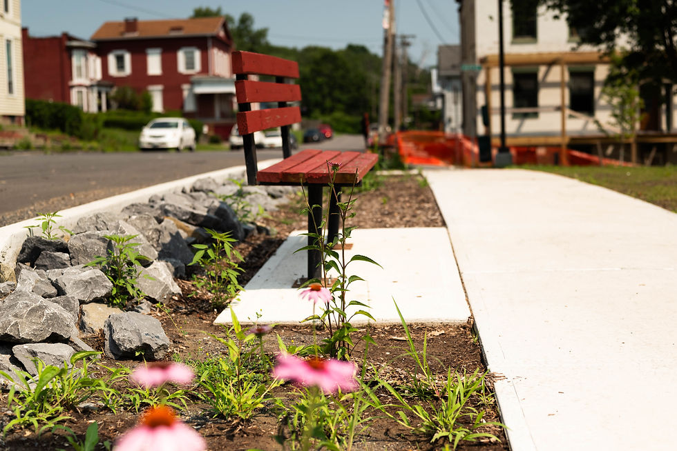Coeymans riverfront park