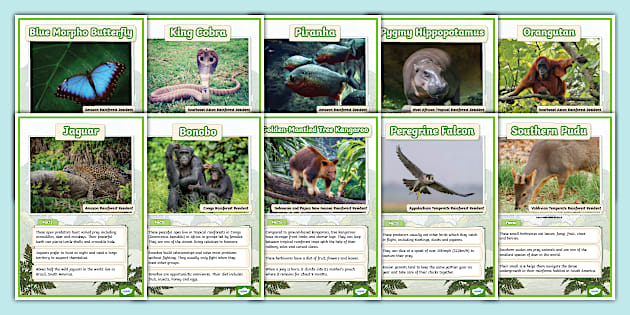 Wildlife and Animal Facts
