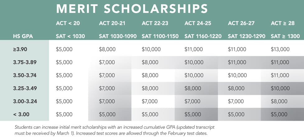 Does nyu give merit scholarships