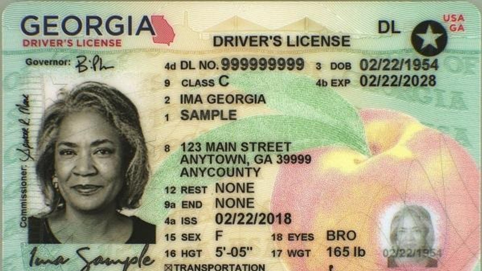 State of georgia license