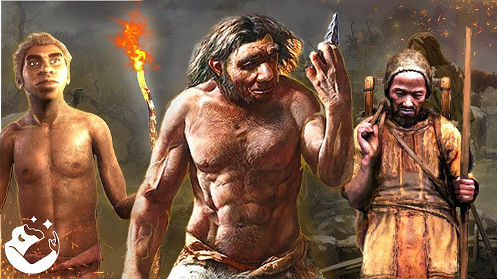 What was the stone age