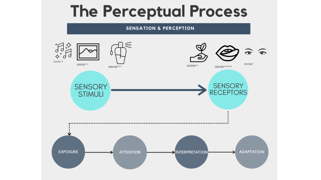 Perceptual concepts