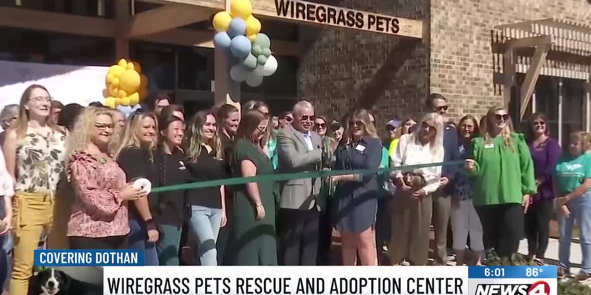 Unleashing compassion the unsung heroes of dothan pet shelter