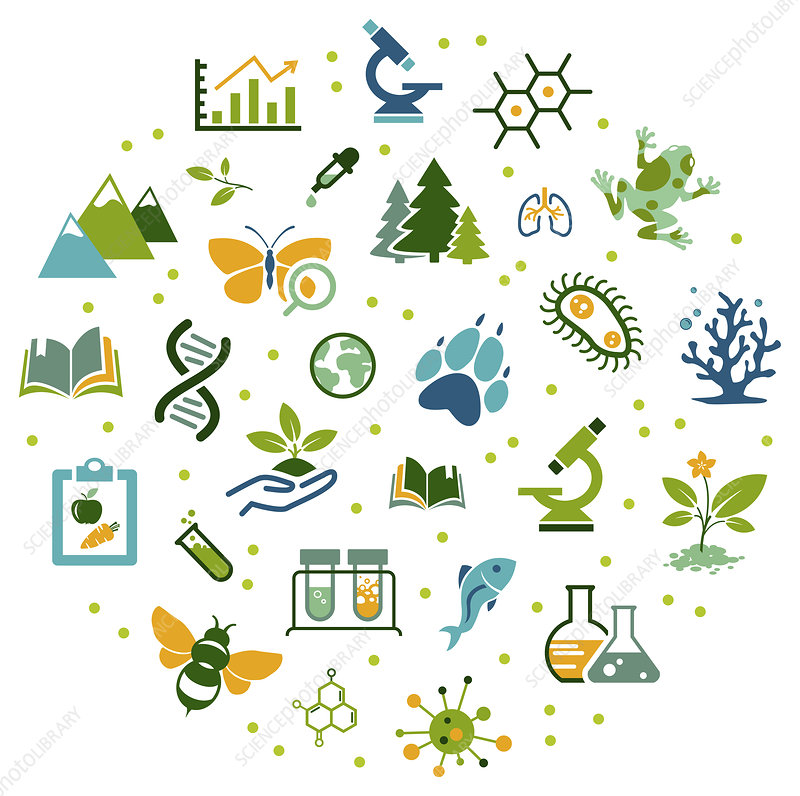 Biology and Ecology