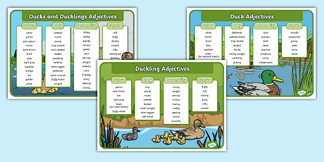 Words associated with ducks